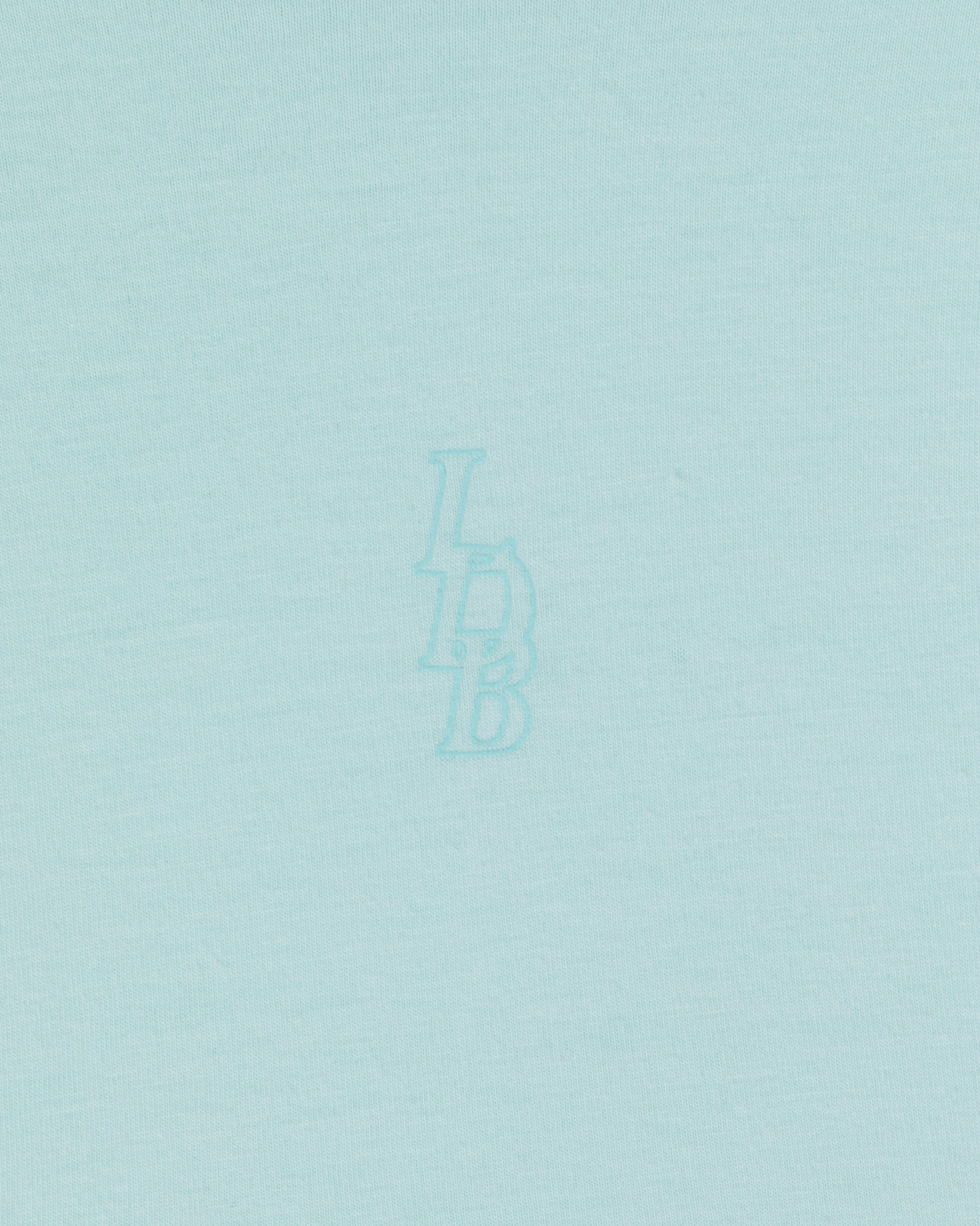 LDB Crop Tee - Sky - Image 6
